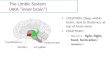 The Limbic System (AKA inner brain) LOCATION: Deep within brain, next to thalamus, at top of brain stem FUNCTION? – The 4 Fs : fight, flight, food, fornication!