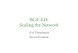 BGP 102: Scaling the Network Avi Freedman ServerCentral