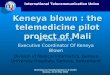 International Telecommunication Union Workshop on Standardization in E-health Geneva, 23-25 May 2003 Keneya blown : the telemedicine pilot project of Mali