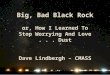 Big, Bad Black Rock or, How I Learned To Stop Worrying And Love... Dust Dave Lindbergh – CMASS