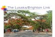 The Lusaka/Brighton Link. Established 2006 University Teaching Hospital (UTH) and Medical School, Lusaka, Zambia Brighton and Sussex University Trust
