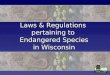 Laws & Regulations pertaining to Endangered Species in Wisconsin