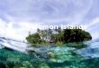 Solomon Islands. Government The Solomon Islands have a Parliamentary Democracy and a Commonwealth Realm. Danny Philip is the current Prime Minister of