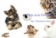 Pets and People By: Clarissa Dixon. My Question Can pets affect peoples outlook on life?