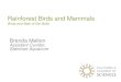 Rainforest Birds and Mammals Birds and Bats of the Bolla Brenda Melton Assistant Curator, Steinhart Aquarium