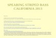 SPEARING STRIPED BASS CALIFORNIA 2013 Resources: CDFW (Ocean) section 28.90 Diving, Spearfishing (a) No person may possess or use a spear within 100 yards