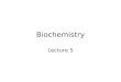 Biochemistry Lecture 5. Protein Functions + PL P L Binding Catalysis Structure