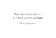 Domain dynamics in Co/Pt/Co/Pt/Co/IrMn M. Czapkiewicz