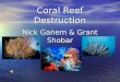 Coral Reef Destruction Nick Ganem & Grant Shobar