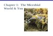 Chapter 1: The Microbial World & You. Learning Objectives Microbes in Our Lives 1-1List several ways in which microbes affect our lives