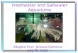 Freshwater and Saltwater Aquariums Adapted from Jenessa Gjeltema and Mr. Krutz