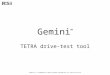 Gemini TETRA drive-test tool Gemini is a trademark of Radio Systems Information Ltd, 