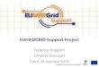 EUMEDGRID-Support Project Federico Ruggieri (Project Director) Cairo 26 January 2010