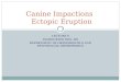 LECTURE 6 INGRID REED DDS, MS DEPARTMENT OF ORTHODONTICS AND DENTOFACIAL ORTHOPEDICS Canine Impactions Ectopic Eruption 1