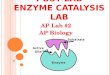 POST LAB ENZYME CATALYSIS LAB AP Lab #2 AP Biology