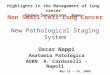 Non Small Cell Lung Cancer New Pathological Staging System Oscar Nappi Anatomia Patologica AORN A. Cardarelli - Napoli Highlights in the Management of