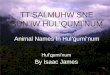Animal Names In Hulquminum Hulquminum By Isaac James TTSALMUHW SNE SUNIW HULQUMINUM