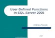 Www.NovickSoftware.com User-Defined Functions in SQL Server 2005 Andrew Novick 2007