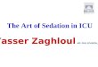 The Art of Sedation in ICU Yasser Zaghloul MD PhD, FCARCSI (Ireland)