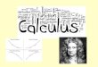 The Fundamental Theorem of Calculus Calculus was developed by the work of several mathematicians from the 17th to 18th century Newton and Leibniz (Gottfried)