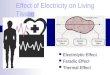 Effect of Electricity on Living Tissue Electrolytic Effect Faradic Effect Thermal Effect
