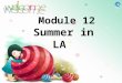 Module 12 Summer in LA. Unit 1 Your host family is meeting you at the airport