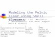 Modeling the Pelvic Floor using Shell Elements 1 Departamento de Engenharia Civil Instituto Superior Técnico Av. Rovisco Pais 1049-001 Lisboa Portugal