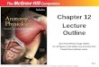 12-1 Chapter 12 Lecture Outline See PowerPoint Image Slides for all figures and tables pre-inserted into PowerPoint without notes. Copyright (c) The McGraw-Hill