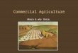 Commercial Agriculture Where & why there.. Commercial Agriculture: Characteristics Food is NOT consumed on farm Food produced is for sale, sometimes thousands