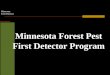Minnesota First Detectors Minnesota Forest Pest First Detector Program