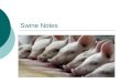 Swine Notes. Leading states in hog production: Iowa - #1 Illinois Minnesota Indiana Nebraska Missouri North Carolina Ohio Kansas South Dakota