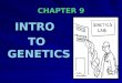 CHAPTER 9 INTRO TO GENETICS. INTRODUCTION TO GENETICS