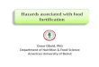 Hazards associated with food fortification Omar Obeid, PhD Department of Nutrition & Food Science American University of Beirut
