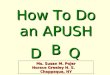 How To Do an APUSH DD BB QQ Ms. Susan M. Pojer Horace Greeley H. S. Chappaqua, NY