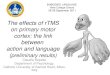 The effects of rTMS on primary motor cortex: the link between action and language ( preliminary results) Claudia Repetto Department of Psychology, Catholic