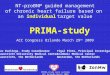 PRIMA-study main outcome ACC Orlando March 2009 NT-proBNP guided management of chronic heart failure based on an individual target value PRIMA-study Luc