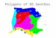 Polygons of BS benthos 8 16 58. Spec. Bio 50 Data background per polygon Polygon Area name Atlantis Poly New Poly nr Spatial loc Commu nitiesStations