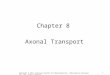 1 Chapter 8 Axonal Transport Copyright © 2012, American Society for Neurochemistry. Published by Elsevier Inc. All rights reserved