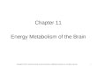 1 Chapter 11 Energy Metabolism of the Brain Copyright © 2012, American Society for Neurochemistry. Published by Elsevier Inc. All rights reserved