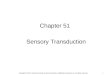1 Chapter 51 Sensory Transduction Copyright © 2012, American Society for Neurochemistry. Published by Elsevier Inc. All rights reserved