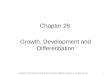 1 Chapter 28 Growth, Development and Differentiation Copyright © 2012, American Society for Neurochemistry. Published by Elsevier Inc. All rights reserved