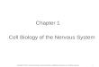 1 Chapter 1 Cell Biology of the Nervous System Copyright © 2012, American Society for Neurochemistry. Published by Elsevier Inc. All rights reserved