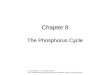 Chapter 8 The Phosphorus Cycle © 2013 Elsevier, Inc. All rights reserved. From Fundamentals of Ecosystem Science, Weathers, Strayer, and Likens (eds)