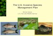 Sharon Gross U.S. Fish and Wildlife Service The U.S. Invasive Species Management Plan