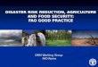 DISASTER RISK REDUCTION, AGRICULTURE AND FOOD SECURITY: FAO GOOD PRACTICE DRM Working Group FAO Rome