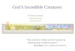 Gods Incredible Creatures Dr. Heinz Lycklama heinz@osta.com  The world in which we live is truly an amazing and wondrous place. Scott Huse,