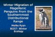 Winter Migration of Magellanic Penguins From the Southernmost Distributional Range Mollie Ryan BI257: Winter Ecology