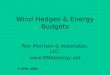 Wind Hedges & Energy Budgets Roy Morrison & Associates, LLC.  © RMA, 2006