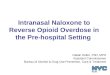 Intranasal Naloxone to Reverse Opioid Overdose in the Pre-hospital Setting Daliah Heller, PhD, MPH Assistant Commissioner Bureau of Alcohol & Drug Use