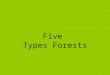 Five Types Forests. Forests Smokies are made up of many short peaks and ridges that are diversely forested. Unlike the Himalayas that are treeless, relatively